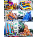 Commercial Grade Inflatable Slide for Sale